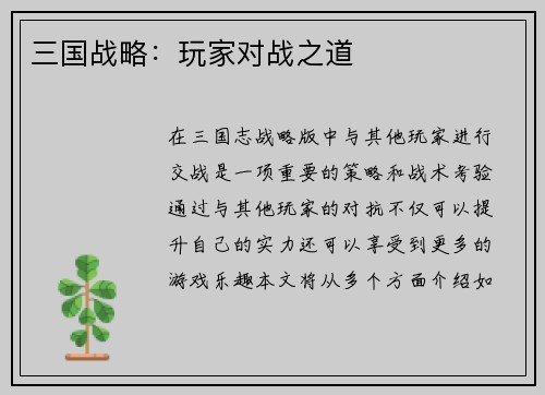 三国战略：玩家对战之道